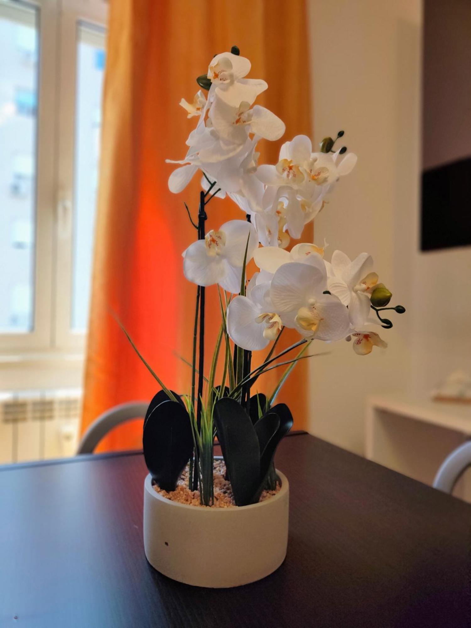 Casa Roma Marconi Leilighet Eksteriør bilde